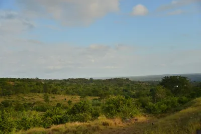 DSC_4350 (Large).JPG